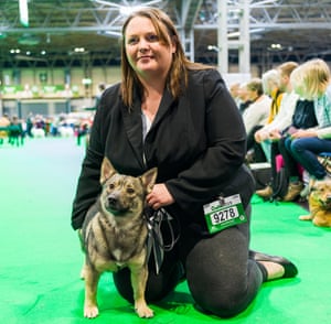 Lynn Pallatina  at Crufts dog show 2019 with Swedish vallhund Starvon All Eyes on Me At Valltineya (Loki) who won best of breed