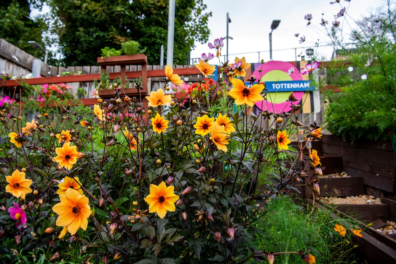 South Tottenham station