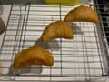 Layla Pujol's empanadas for Felicity Cloake's perfect empanadas June 12, 2021