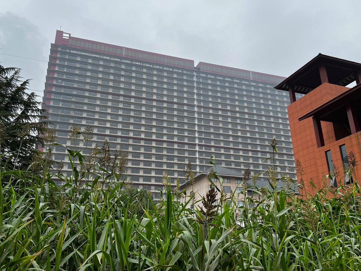 China s 26 storey Pig Skyscraper Ready To Slaughter Million 41 OFF china-s-26-storey-pig-skyscraper-ready-to-slaughter-million-41-off