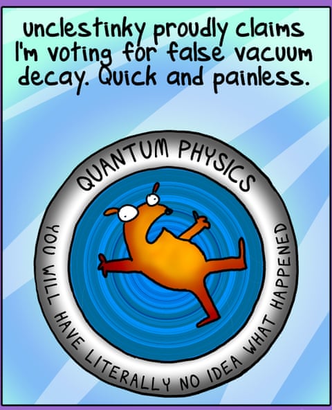 , panel 5