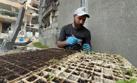 Yousef wearing blue gloves working with trays of seedlings