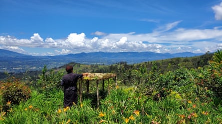 Person feeding birds on a platform among green foliage with a view out to a mountainous horizon under a blue sky with white clouds