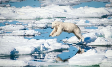 A polar bear leaps over melting ice, Svalbard Archipelago, Norway.
