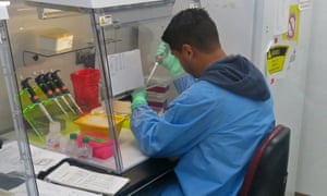 An employee with the US Centers for Disease Control and Prevention tests human blood samples for Zika in San Juan, Puerto Rico