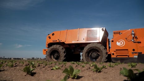 Robotic weeder removes unwanted plants on farmland in the Salinas Valley, California – video