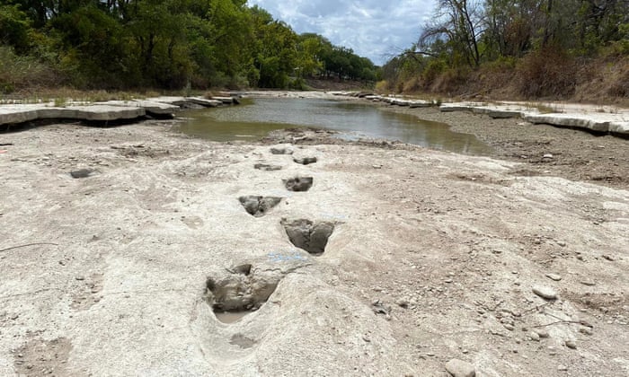 Dinosaur tracks revealed in Texas as severe drought dries up river (theguardian.com)