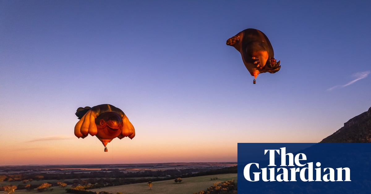 They become part of people's identity': how Australia fell in love with the Skywhales