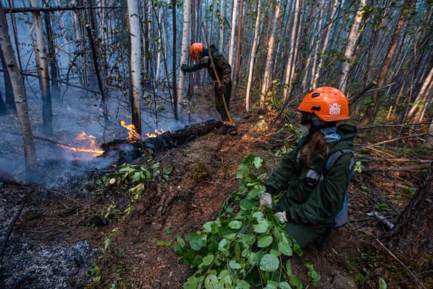 firefighters tackle a blaze amid birch trees