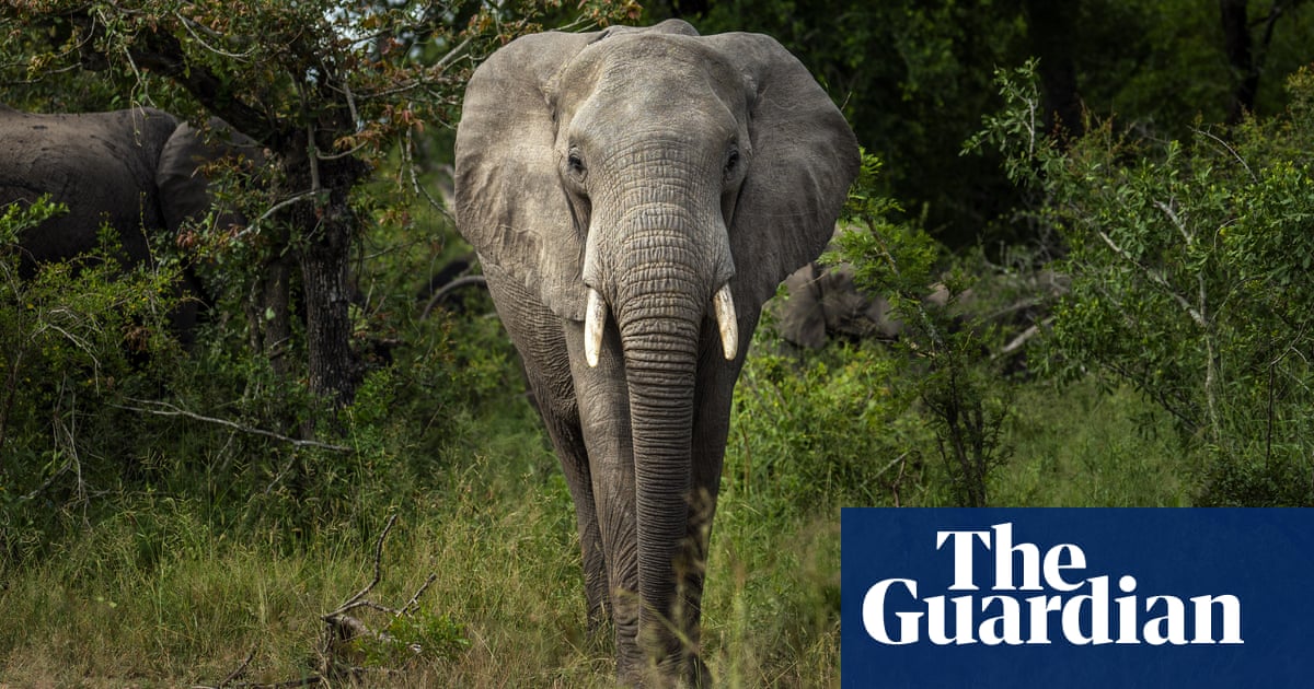 Учените казват че животните все още се нуждаят от защита