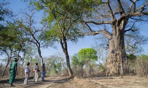 Majete wildlife reserve in Malawi.