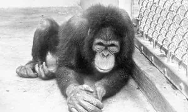 50 Documentaries You Need To See Film The Guardian