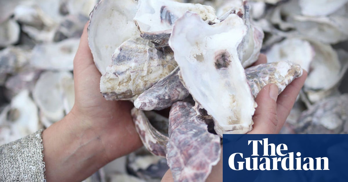 Algae bricks and oyster shell walls: what’s on the horizon for eco-friendly building in Australia? | Green building Algae bricks and oyster shell walls: what’s on the horizon for eco-friendly building in Australia? | Green building