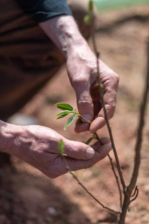Andy Gray, Elston Farm, Devon.