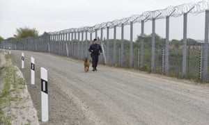 A guard with a dog walks beside Hungary's fortified border with Serbia.
