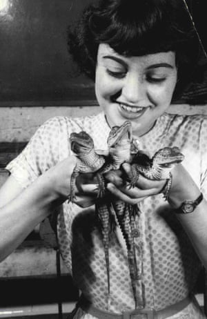 Brenda Woodman, 17, holds a trio of two-month-old baby Nile crocodiles