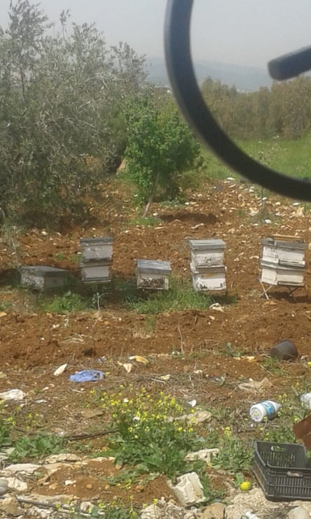 Some small beehives on a patch of soil