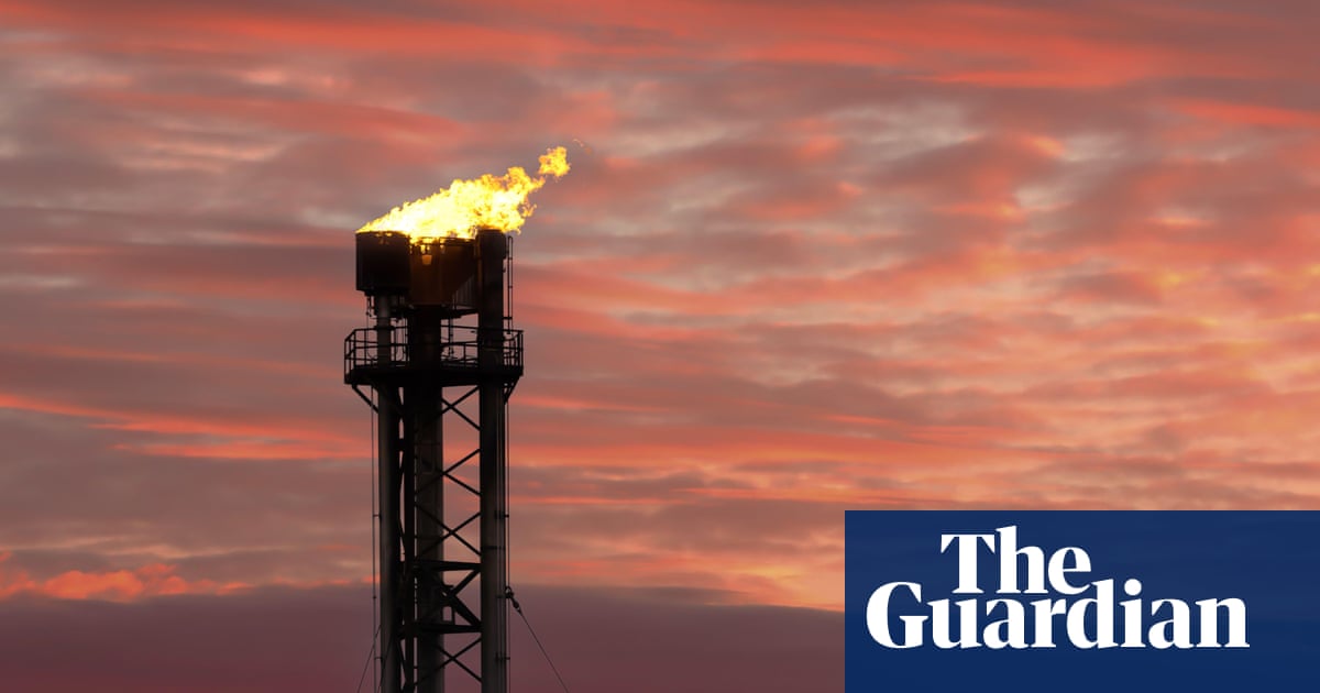 Opec rails against fossil fuel phase out at Cop28 in leaked letters