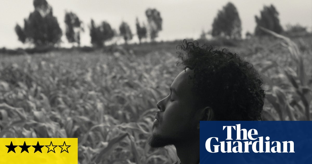 Faya Dayi review – the ups and downs of khat’s zonked-out bliss