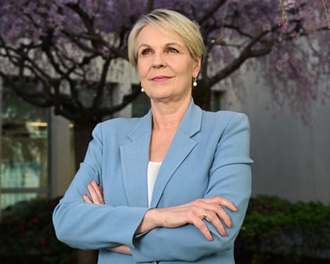 The social services minister, Tanya Plibersek.