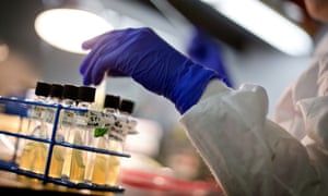 A microbiologist works with tubes of bacteria samples in a US antimicrobial resistance and characterization lab.