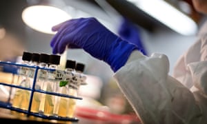 A microbiologist works with tubes of bacteria samples in a US antimicrobial resistance and characterization lab. 