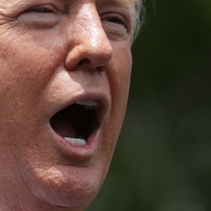 Quiz Who Said It Donald Trump Or Elon Musk Us News The Guardian