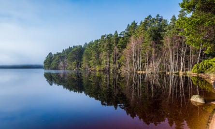 Loch Garten in the Cairngorms national park.