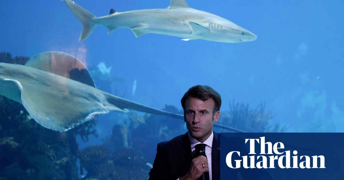 Stop deep-sea mining, says Macron, in call for new laws to protect ecosystems
