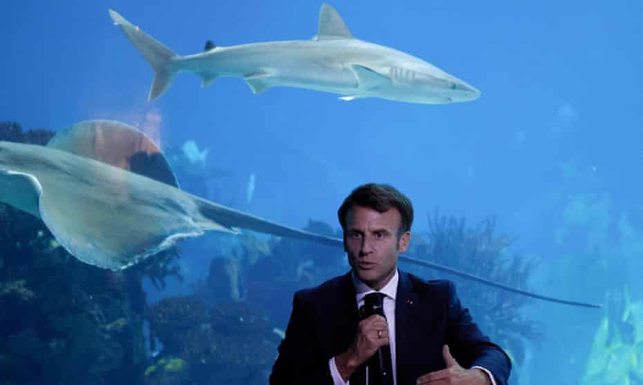 Emmanuel Macron standing at a lectern in front of an aquarium as a ray and a shark pass behind him