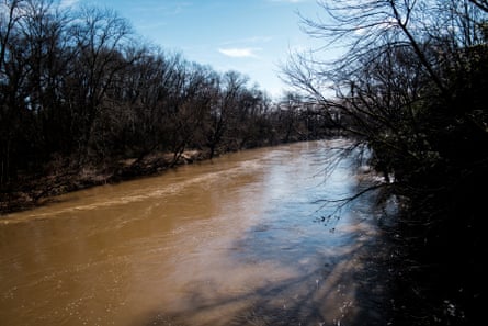 a river flows through a forest