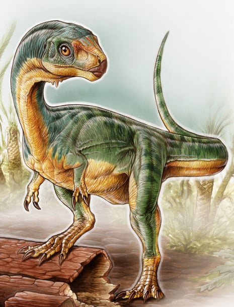 Bizarre dinosaur reconstructed after 50 years of wild speculation, Dinosaurs