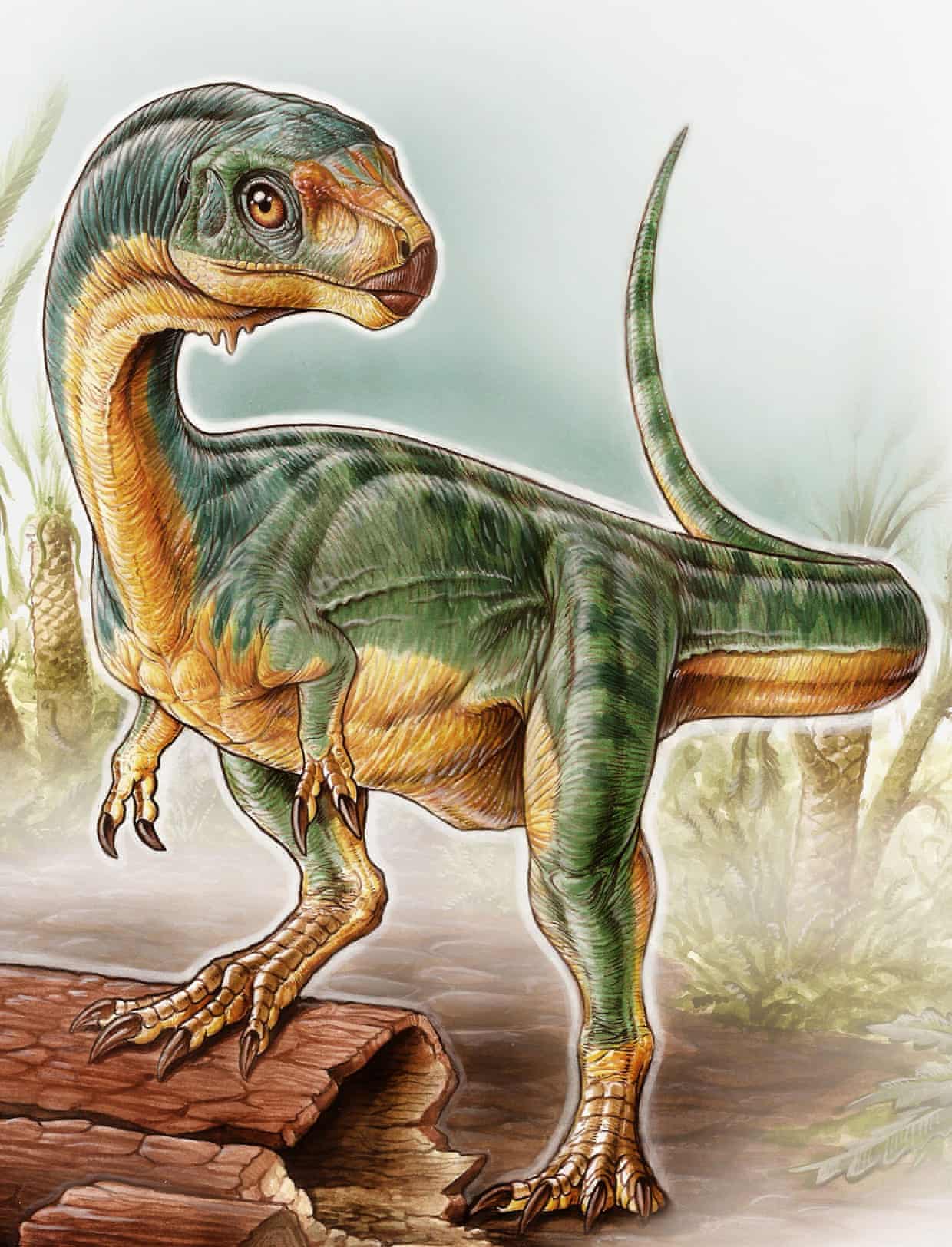 Most bizarre dinosaur ever found