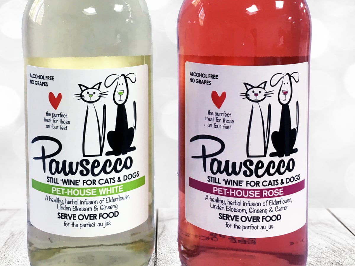 Wine For Cats Pets At Home Pawsecco Get Your Pet In The Christmas Spirit With Pawsecco,