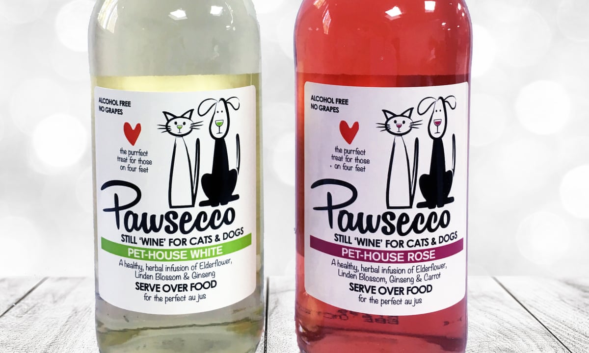 Get your pet in the Christmas spirit with Pawsecco, the fizz ...