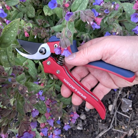 Spear & Jackson Razorsharp Advantage bypass Secateurs