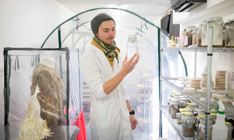 Ashley Granter, ledende mykolog, holder en flydende suspension af mycelium i Biohm-forskningslaboratoriet i Shepherds Bush, det vestlige London.