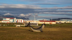 Um elefante marinho no início da manhã de 25 de dezembro nas Ilhas Kerguelen, também conhecidas como Ilhas da Desolação. Localizados na região subantártica, a mais de 2.000 milhas de Madagascar, eles estão entre os lugares mais isolados da Terra. Não há habitantes indígenas, mas a França mantém uma presença de 45 a 100 militares, cientistas, engenheiros e pesquisadores na base científica de Port-aux-Français. As instalações incluem edifícios de pesquisa, uma estação de rastreamento por satélite, hospital, biblioteca, ginásio e pub e a capela de Notre-Dame des Vents