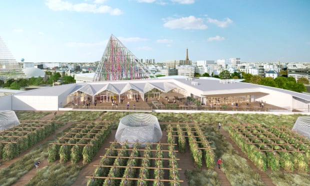 The new rooftop farm in Paris will be the largest of its kind in the world.