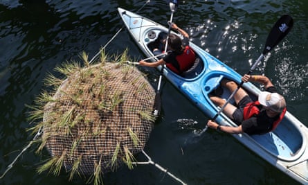 In a kayak, Louiza Wise, left, ecological engineer and Tyler McCormack, right, a PhD student, work to tie down the ‘Emerald Tutu’, a floating swampland being deployed in East Boston.