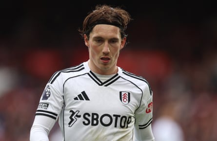 Harry Wilson in action for Fulham