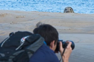 Guardian journalist, Patrick Barkham, photographing seals in Blakeney Harbour
