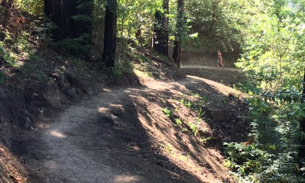 A new trail giving foot access to a cut-off part of Big Sur.