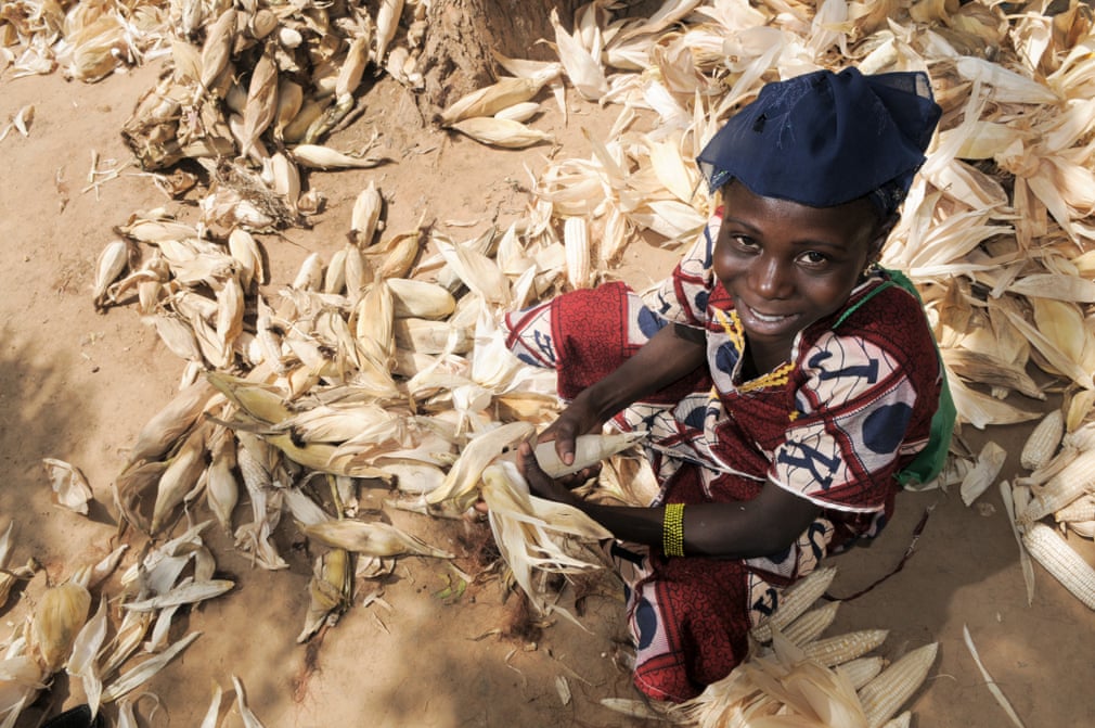 Eleven-year-old schoolgirl Djeneba peels the corn harvested by her family