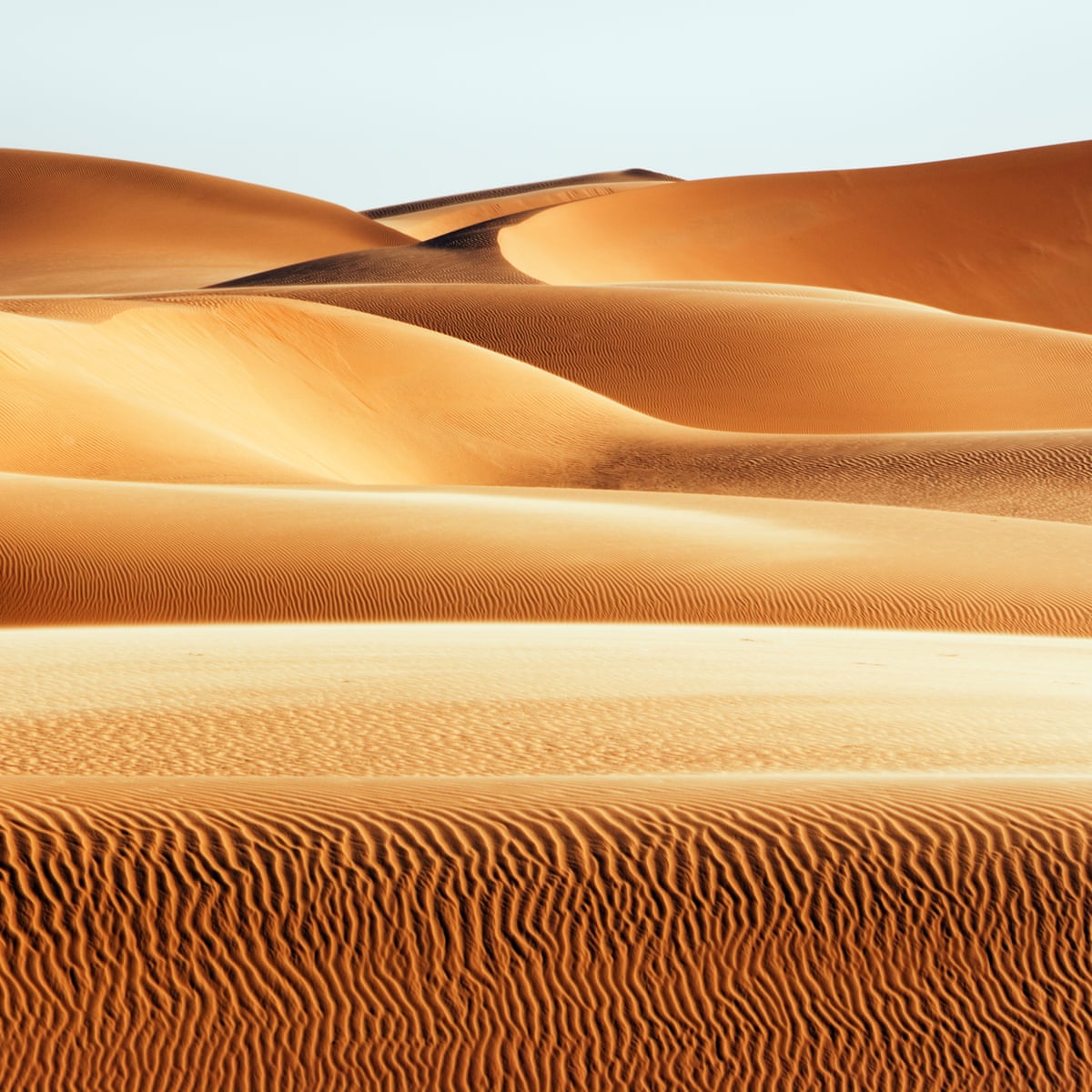 Ancient Fish Dinners Chart Sahara S Shift From Savannah To Desert Deserts The Guardian Ancient Fish Dinners Chart Sahara S Shift From Savannah To Desert Deserts The Guardian