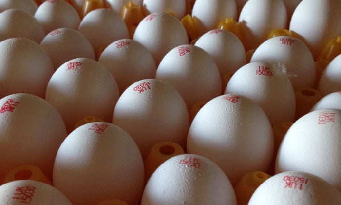 White Shelled Eggs Are Selling In Tesco For The First Time In 40 Years Business The Guardian