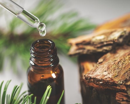 Tincture dripping from glass pipette next to pine bark