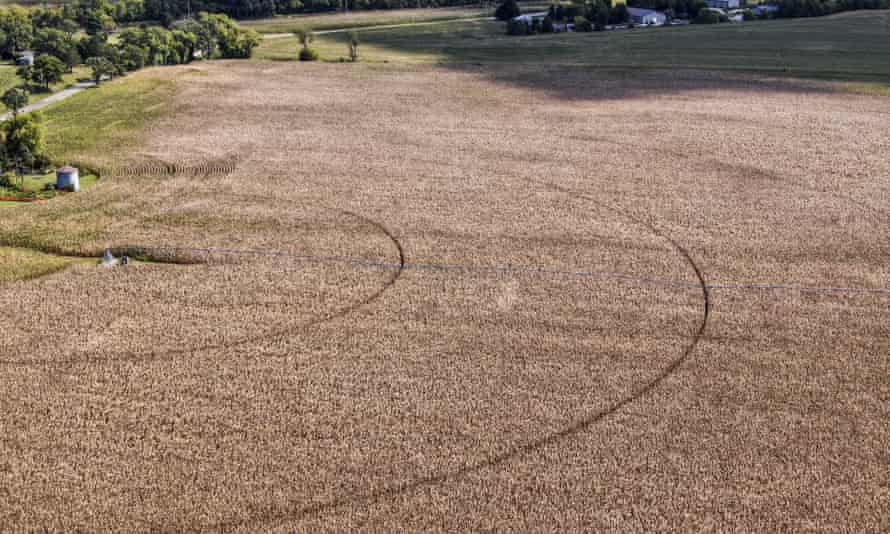 Irrigation tracks seen in a corn field near Genoa city, Wisconsin.