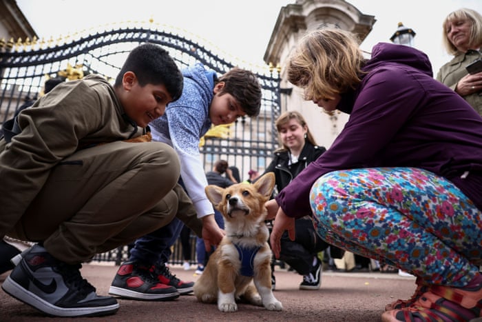 Clive the Corgi is stroked outside Buckingham Palace as people visit.