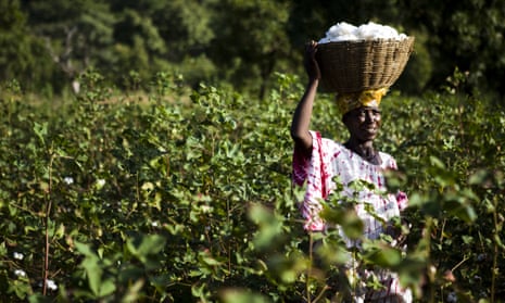 Mali Fairtrade cotton farmer